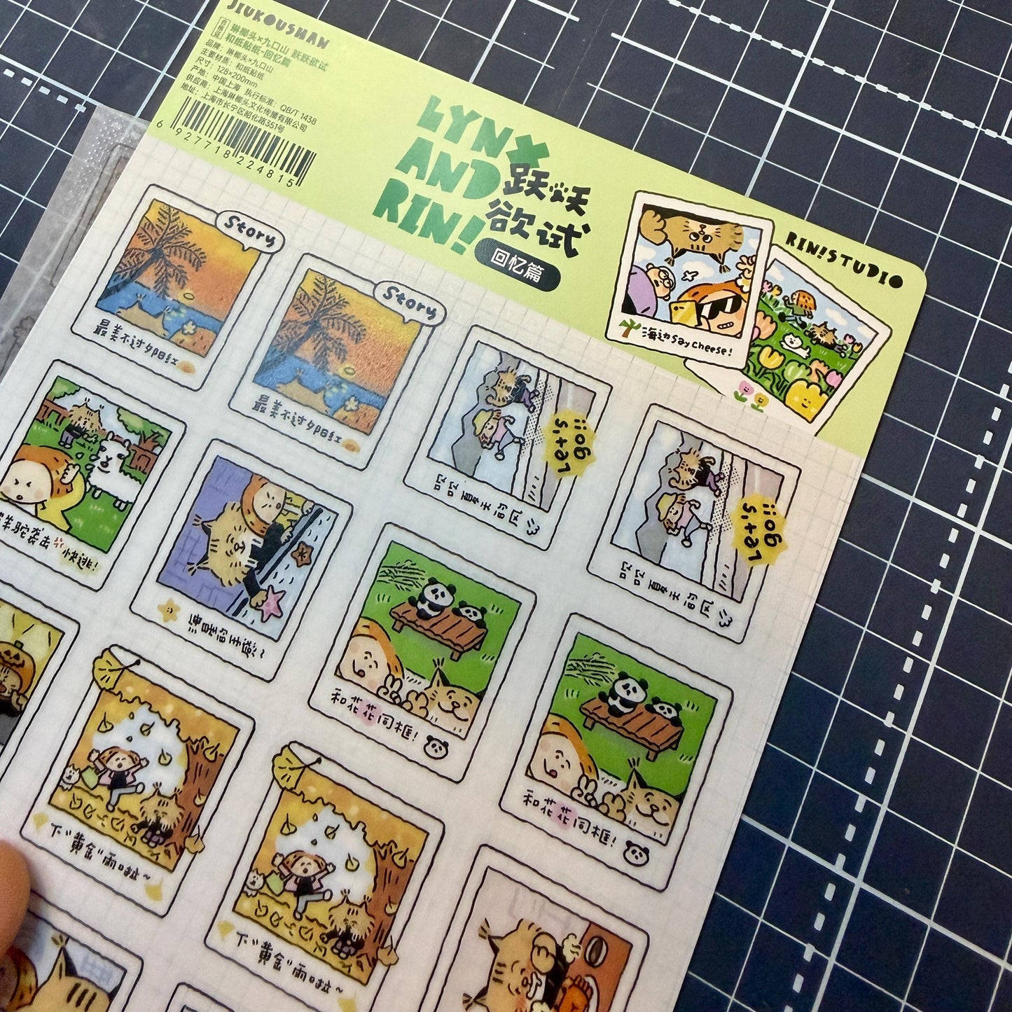 Instax Washi Stickers: Kawaii Planner instant camera sticker, eager to try memories. V35B
