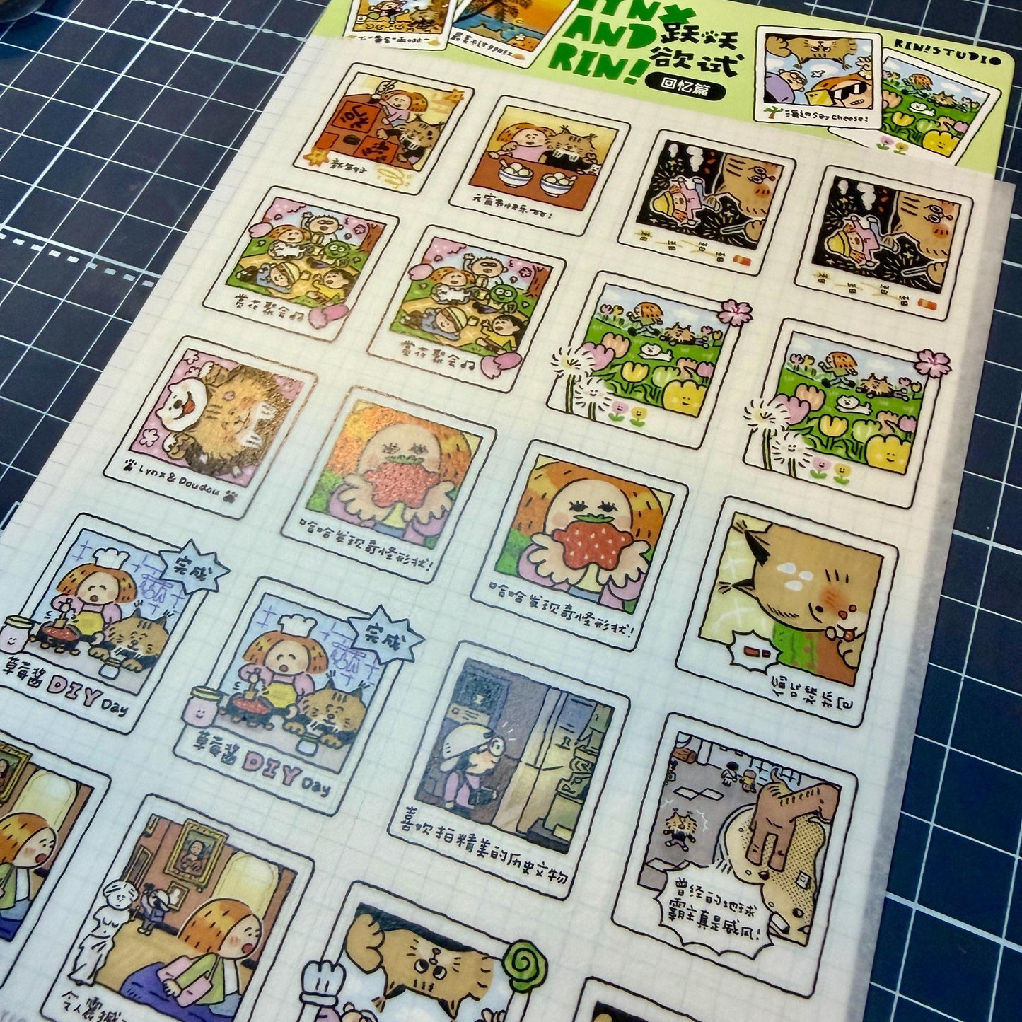 Instax Washi Stickers: Kawaii Planner instant camera sticker, eager to try memories. V35B